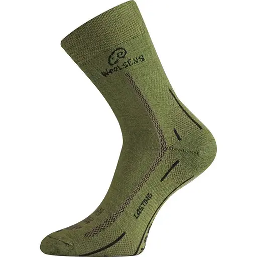 Носки Lasting WLS 699 Green M (1054-002.003.1845)