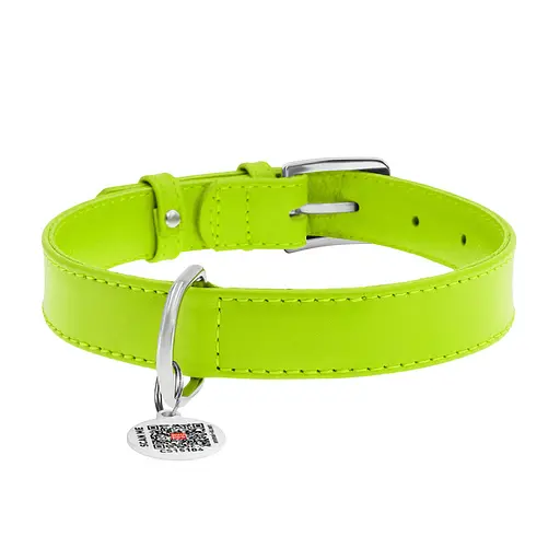 Ошейник для собак кожаный Waudog Glamour с QR-паспортом без украшений L Ш 25 мм Д 38-49 см салатовый - фото 3