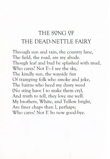 Flower Fairies of the Winter - фото 10