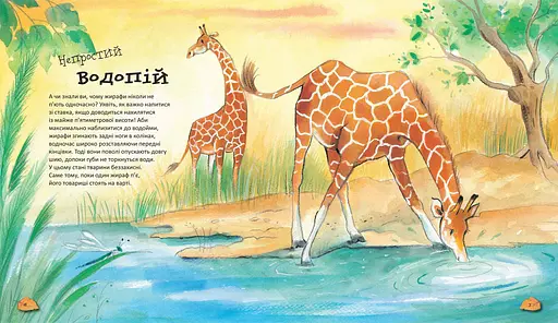 Дивовижі тваринного світу - фото 3