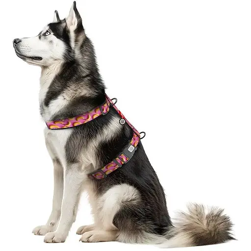 Шлея для собак Waudog Nylon анатомічна H-подібна з QR-паспортом, малюнок "Банани на рожевому", пластиковий фастекс, XL - фото 3