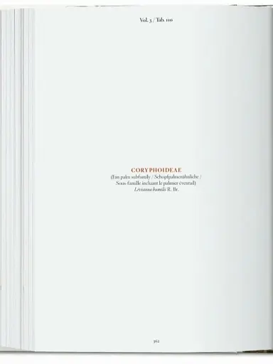 The Book of Palms - фото 5