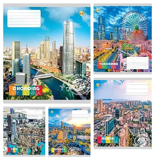 Зошити учнівські 24 аркуша лінія Тверда ТЕ42306 Місто, 20 шт. в упаковці