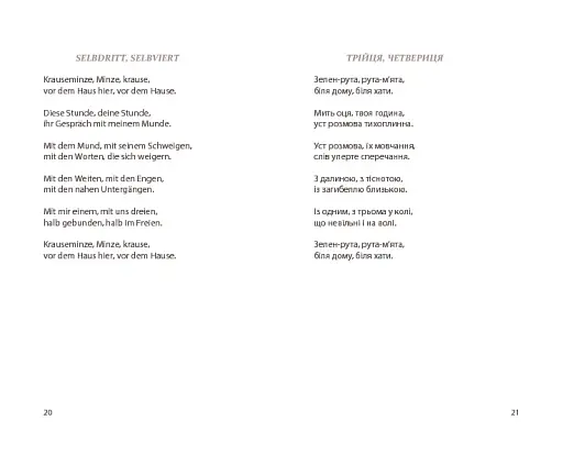 Нічийна троянда - фото 10