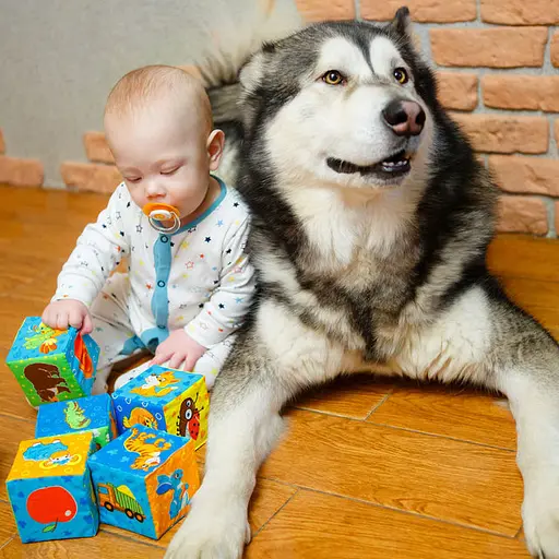 Уцінка. Набір м'яких кубиків Масік Ферма (МС 090601-02) - фото 2