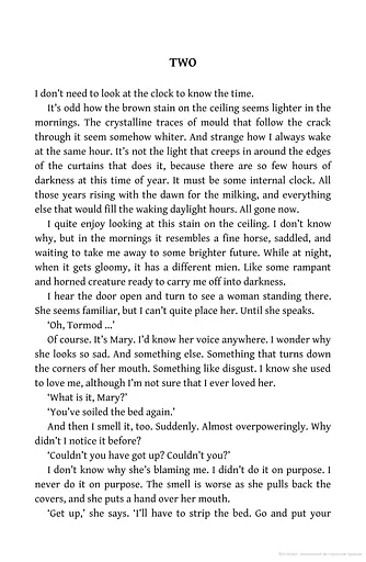 The Lewis Man. Book 2 - фото 6