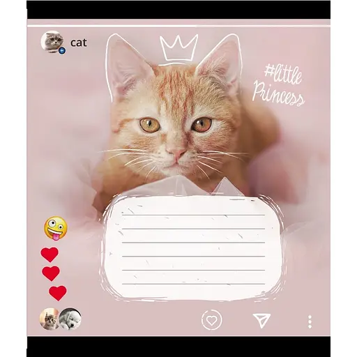 Зошит учнівський "Кішка" Leader 024-550351K-2 в клітинку, 24 аркуші - фото 1