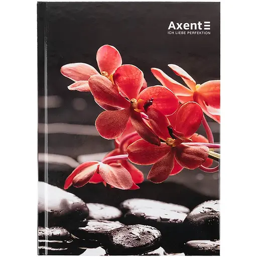 Книга записная Axent R&B Flower А5 в клеточку 96 листов (8457-7-A)