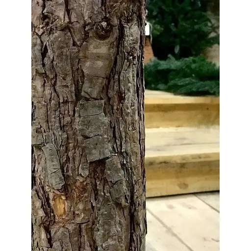 Ялинка Hvoya Traditional реалістична лита з дерев'яним стовбуром 3 м зелена - фото 3