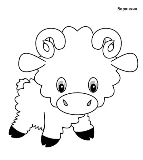 Чудові фарби. Тварини - фото 3