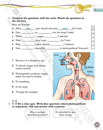 Grammar Goals. Level 5. Student's Book & CD Rom. American Edition - фото 7