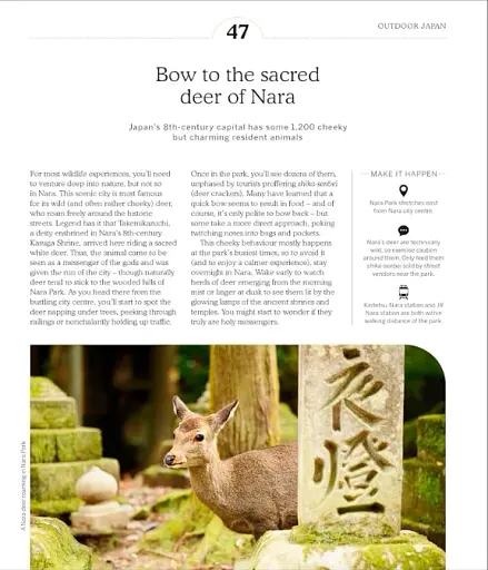 Ultimate Japan: 100 Must-do Experiences for the Trip of a Lifetime - фото 5