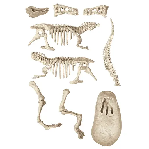 Науковий набір Розкопки тиранозавра - Clementoni 50858 - фото 3