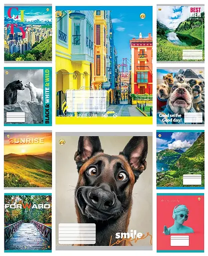 Зошити учнівські 48 аркушів клітинка Тверда Мікс Універсальний 4, 10 шт. в упаковці