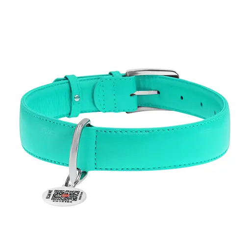 Нашийник для собак шкіряний Waudog Glamour з QR-паспортом без прикрас XL Ш 35 мм Д 46-60 см ментоловий - фото 3