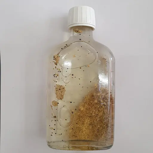 Водная настойка на плодах амаранта 200 мл - фото 2