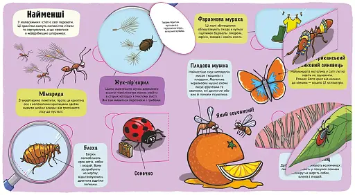 Маленькі дослідники. Комашки - фото 5