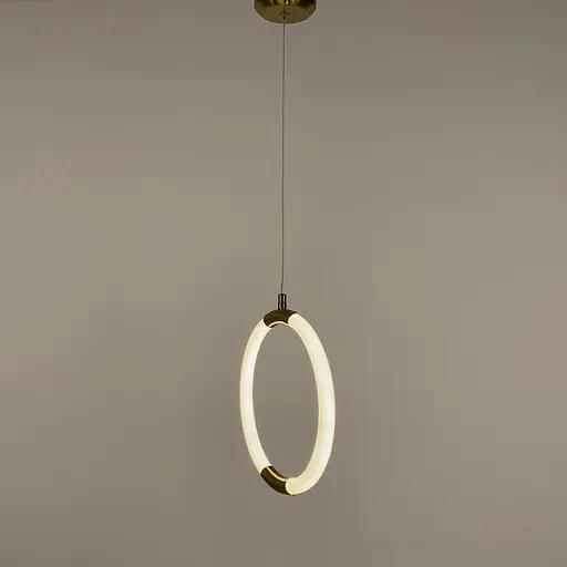 Дизайнерский латунный подвес круг с гибкой LED лентой. | Line F | Арт. Mj60/1 - фото 4