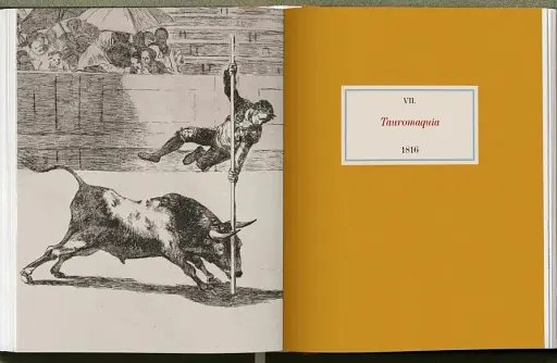 Goya. The Complete Prints - фото 20