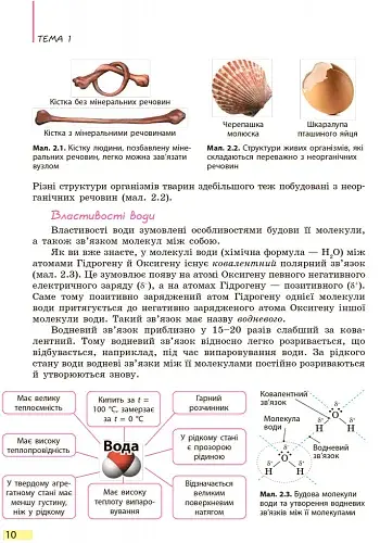 Біологія. Підручник. 9 клас - фото 9