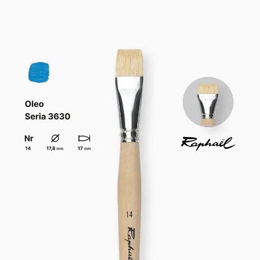 Кисть щетина плоская Raphael Oleo, №14, короткая ручка - фото 2