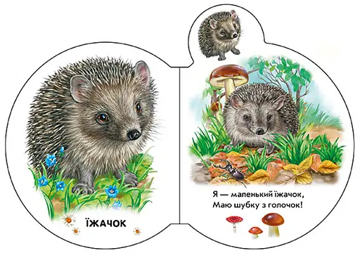 Книга Малята у лісі + Аудіо-бонус. Автор - Ірина Сонечко (Ранок) - фото 2