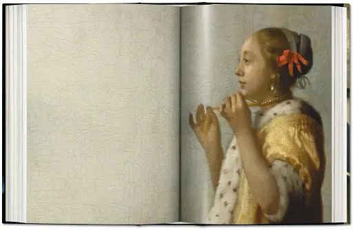 Vermeer. The Complete Works - фото 4