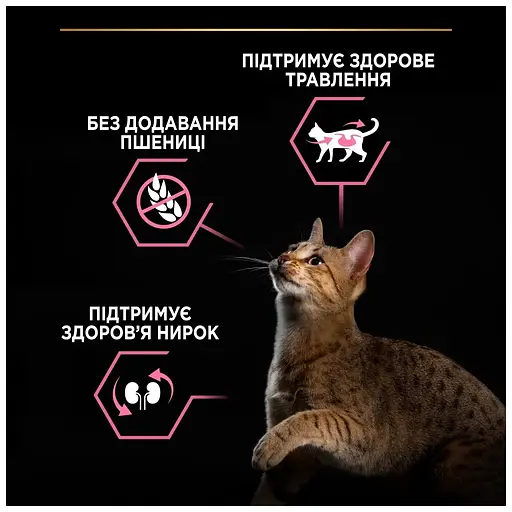 Сухой корм для кошек Purina Pro Plan Delicate Turkey со вкусом индейки 10 кг (7613033566509) - фото 5