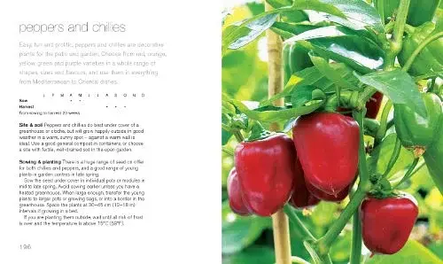 200 Veg-Growing Basics - фото 5