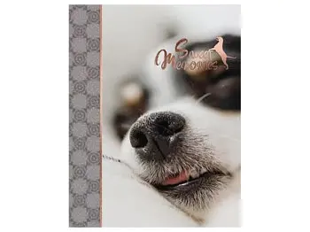 Альбом UFO PP-46200 Enjoy 10x15x200см (PP-46200 Enjoy) - фото 3