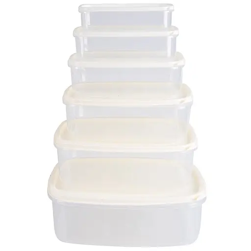 Набор пищевых контейнеров Violet House 0496 BEJ 6 шт. (0496 BEJ прям. наб. LARGE) - фото 3