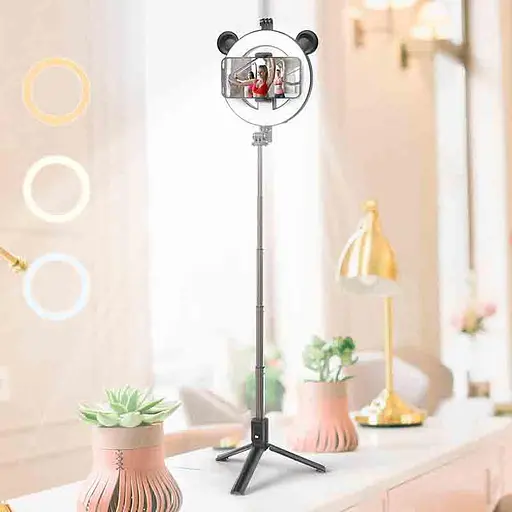 Тримач Borofone Perfect Pic BY6 із кільцевим освітленням 17 см - фото 7