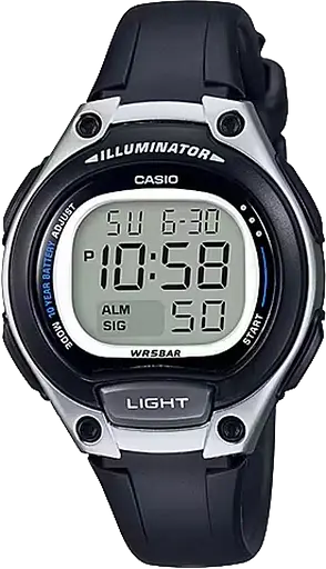 Часы Casio Timeless Collection LW-203-1AVEF