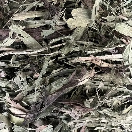 100 г стевія медова трава сушена - свіжий урожай