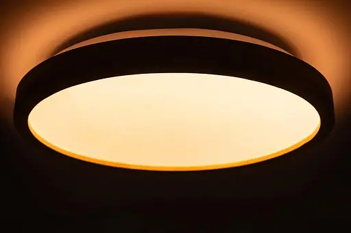 Потолочный светильник Vestum LED Wood матовый с декором акация 60W - фото 3