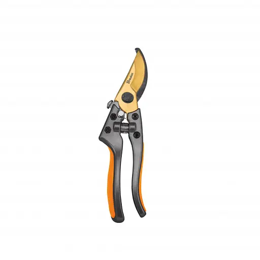 Секатор Bradas для обрезки веток, сталь SK5, gold, V-SERIES, KT-V1022
