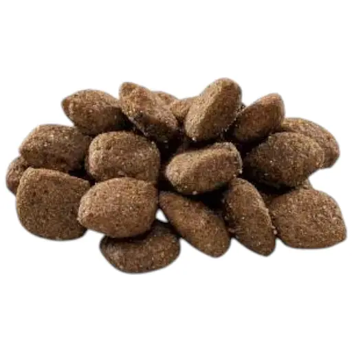 Сухой корм Brit Premium Dog Sensitive Lamb для собак с чувствительным пищеварением, с ягненком, 3 кг - фото 1