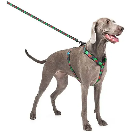 Шлея для собак Waudog Nylon анатомічна H-подібна з QR-паспортом, матеріал нейлон, малюнок "Калина", пластиковий фастекс, розмір L - фото 4