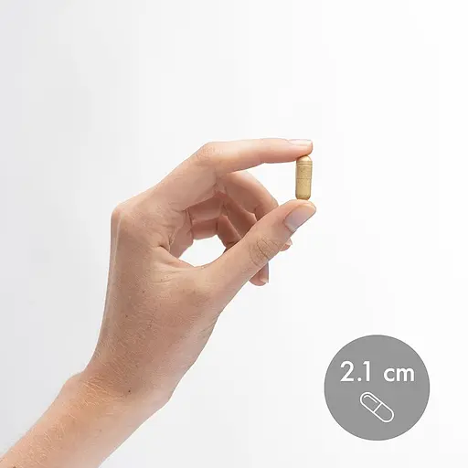 Смесь панкреатических ферментов Dr. Mercola Gallbladder Enzymes, 30 капсул для поддержания пищеварения - фото 3