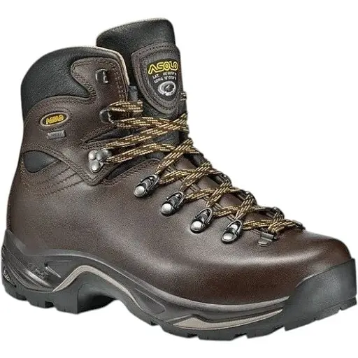 Черевики Asolo TPS 520 GV 45.5 Chestnut (1033-ASL A11012.A635-11)