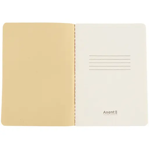 Книга записна Axent Turnowsky Secret Garden А6 60 аркушів у клітинку (8711-1-A-TR) - фото 5