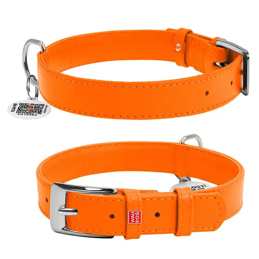 Ошейник для собак кожаный Waudog Glamour с QR-паспортом без украшений L Ш 25 мм Д 38-49 см оранжевый