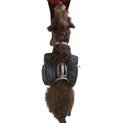 Рюкзак для собак Ultimate Direction Dog Vest Black M (1012-80469820-BK-M) - фото 6