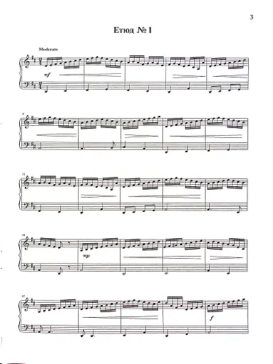 Етюди для бандури - фото 3