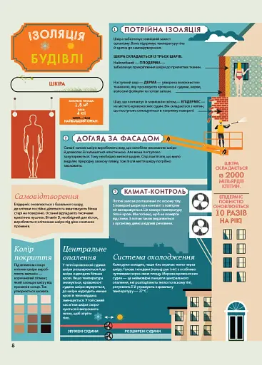 Крутезна інфографіка : Анатомія - фото 8