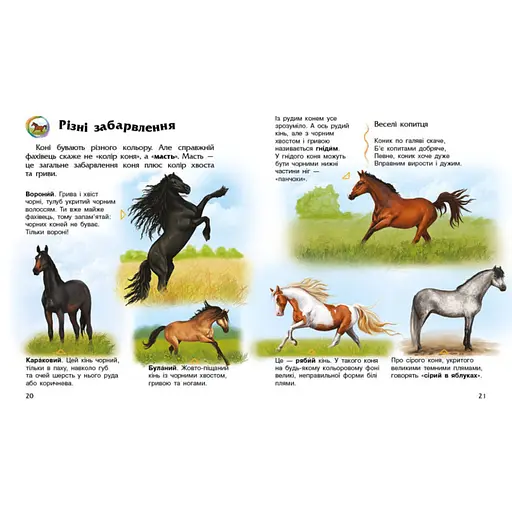 Енциклопедія дошкільника Коні 614037 для найменших - фото 3