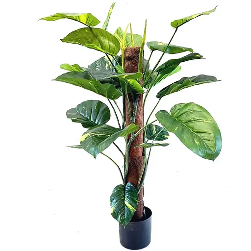 Епіпремнум Hvoya на опорі 100 см