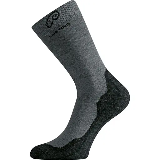 Носки Lasting WHI M Серый