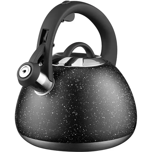 Чайник Ardesto Gemini 2.5 л нержавеющая сталь