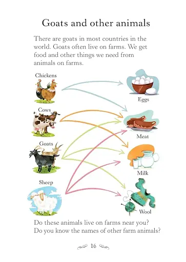 UER Starter The Three Billy Goats - фото 4